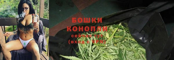 кокс Богородицк